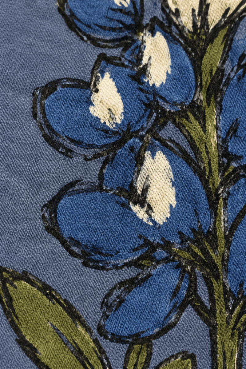 Texas Bluebonnet section macro